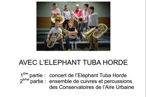 2016-01-24 Elephant Tuba Horde