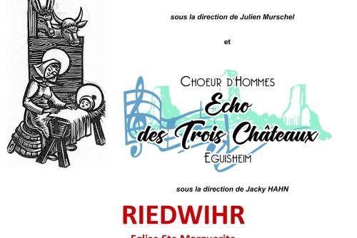 Affiche concert Nebula Riedwihr