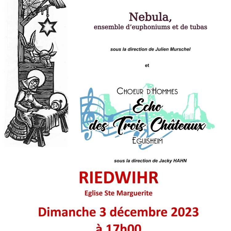 Affiche concert Nebula Riedwihr