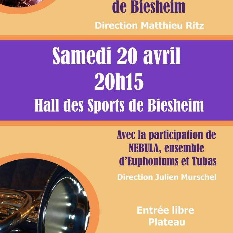 Affiche concert Nebula et Biesheim