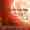 2018-05-18 Contrastes